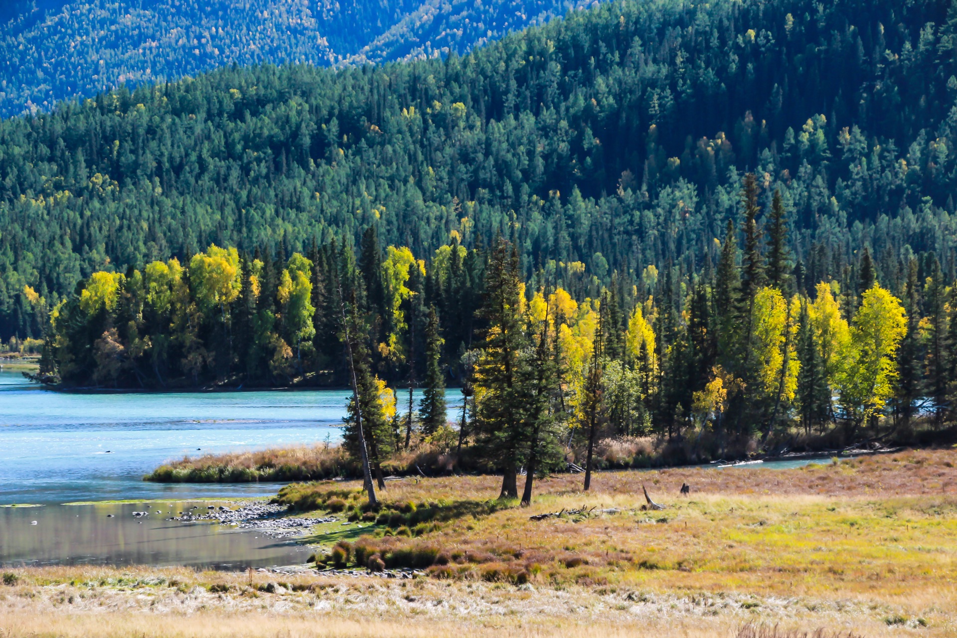 心系新疆，我的第二故乡情结